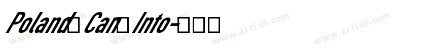Poland Can Into字体转换